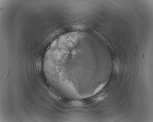 X0000084540668200703091655