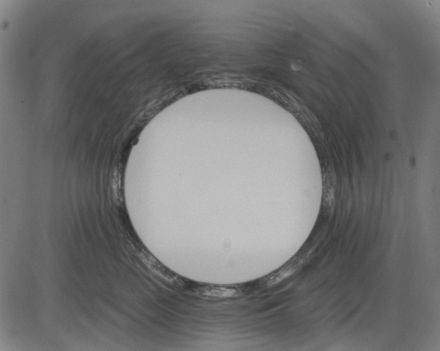 X0000084540669200703091655