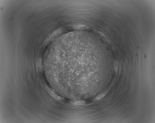 X0000084540670200703091655