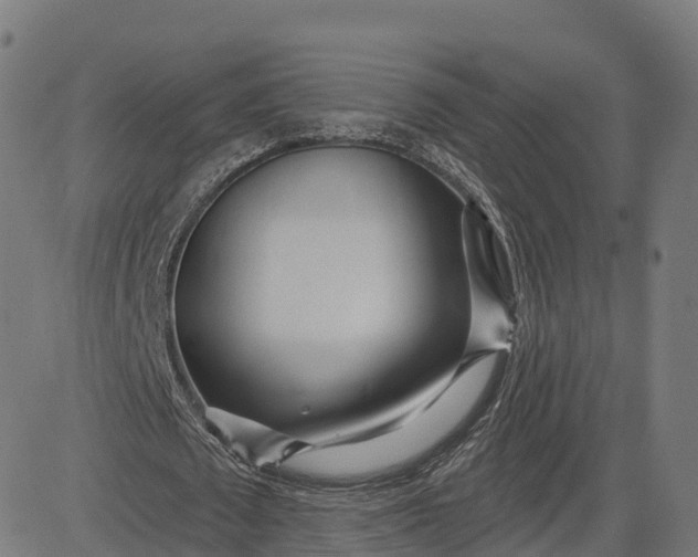 X0000084540673200703091654