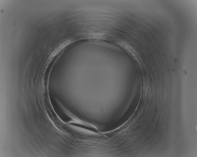 X0000084540674200703091654