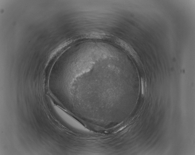 X0000084540675200703091654