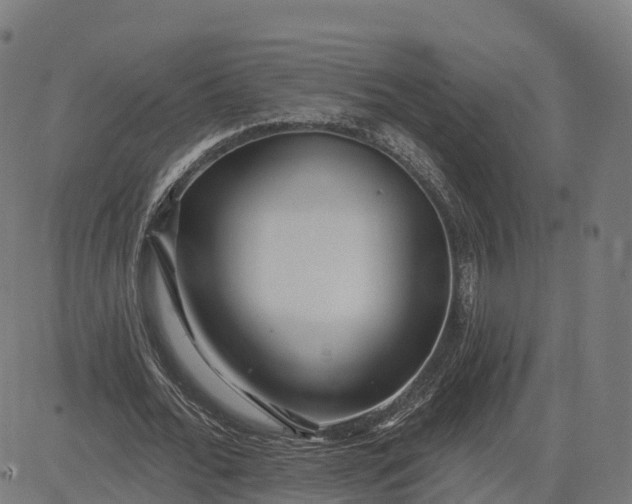 X0000084540676200703091654