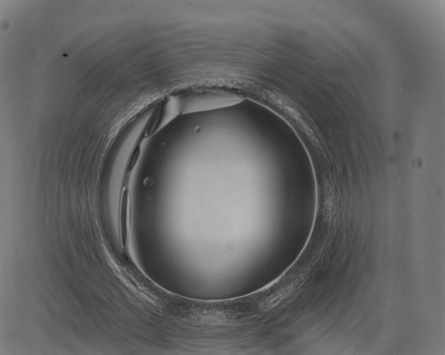 X0000084540677200703091654