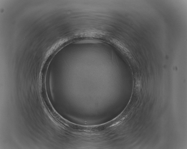 X0000084540678200703091654