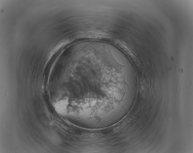 X0000084540679200703091654