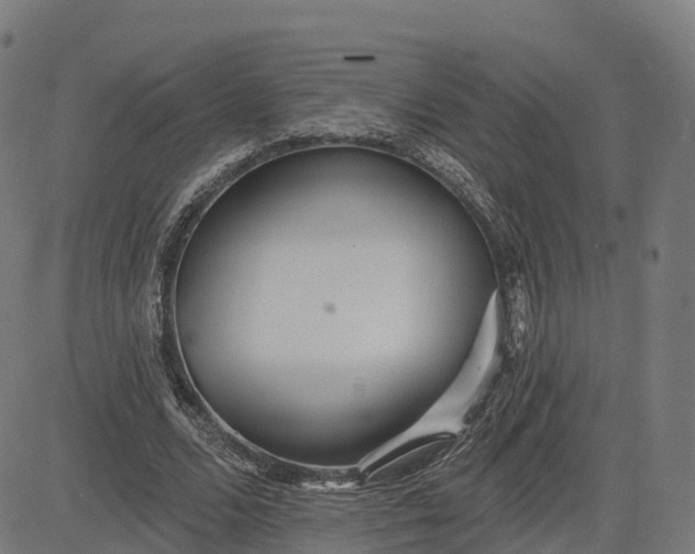 X0000084540680200703091654