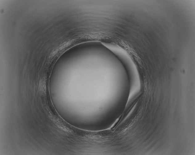 X0000084540681200703091654