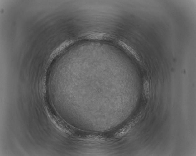 X0000084540682200703091654