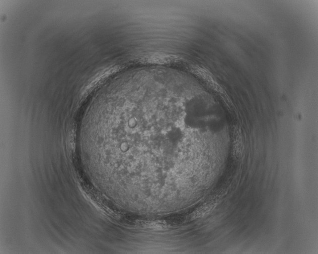 X0000084540683200703091654