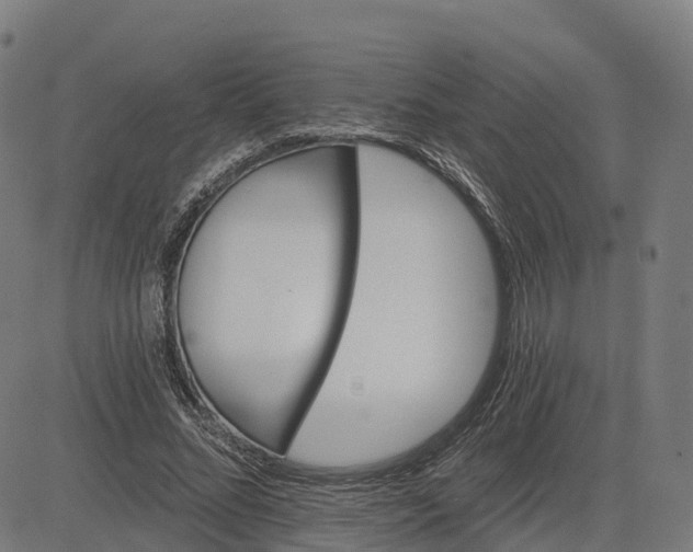 X0000084540684200703091654