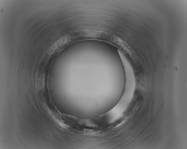 X0000084540685200703091654