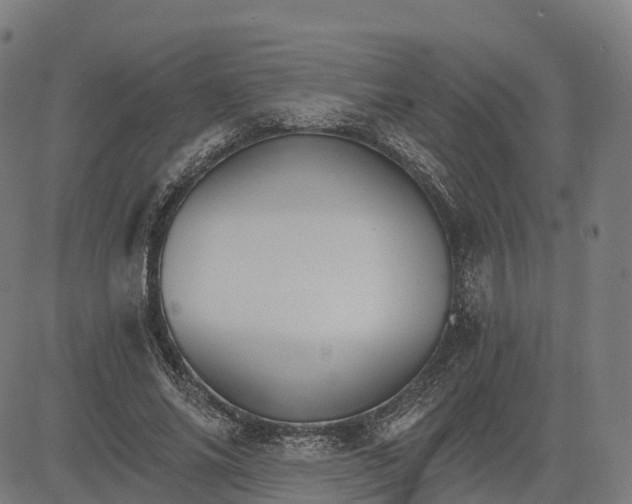 X0000084540686200703091654