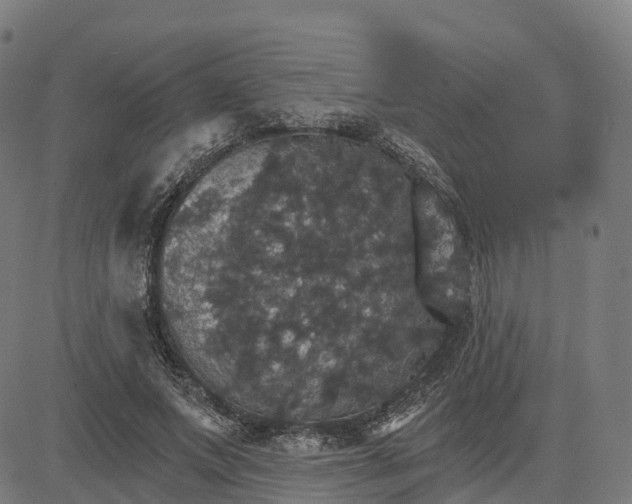 X0000084540687200703091654