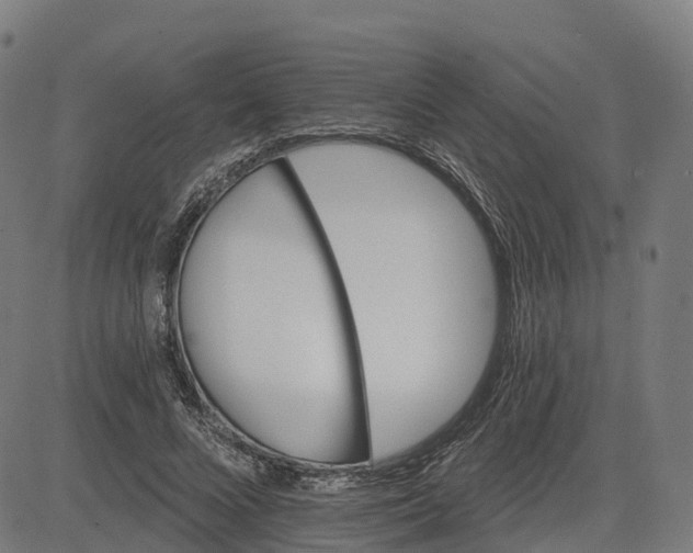 X0000084540688200703091654