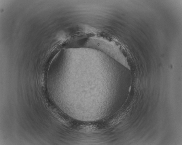 X0000084540689200703091654