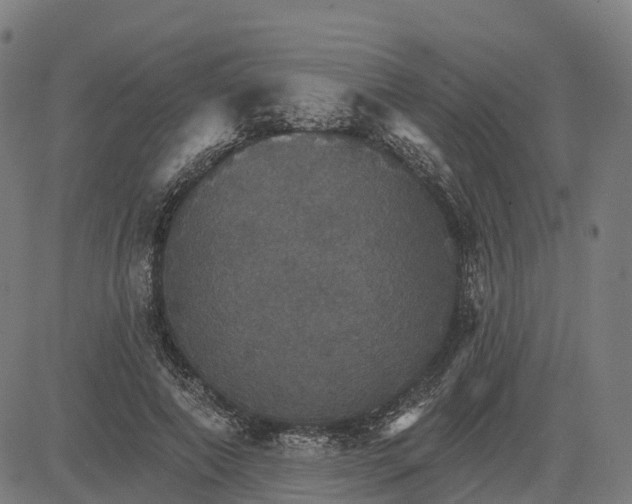 X0000084540690200703091654