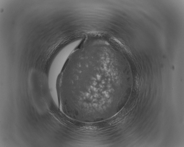 X0000084540691200703091654