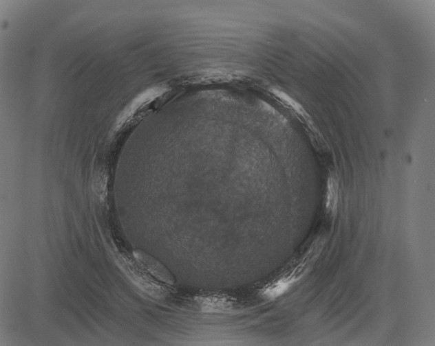 X0000084540693200703091654