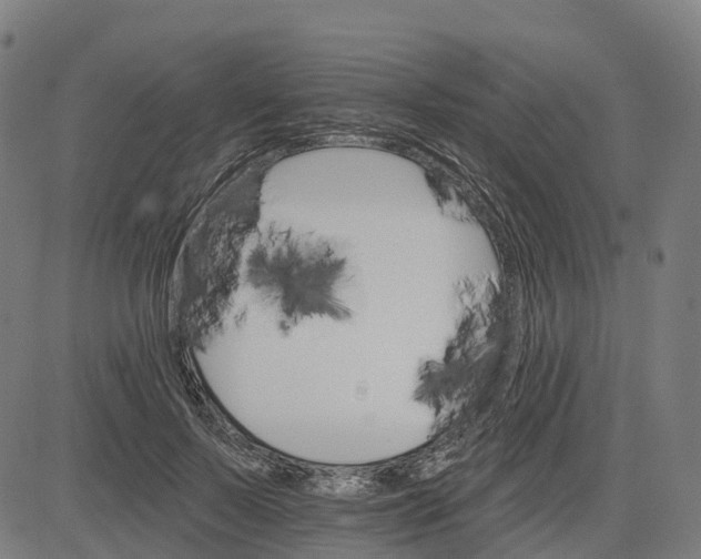 X0000084540695200703091654