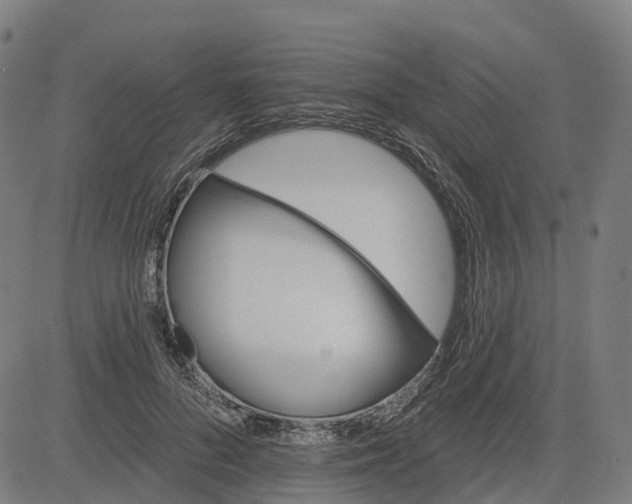 X0000084540696200703091654