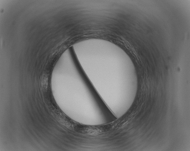 X0000084540697200703091654