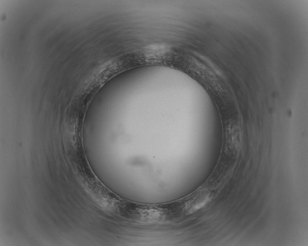 X0000084540698200703091654