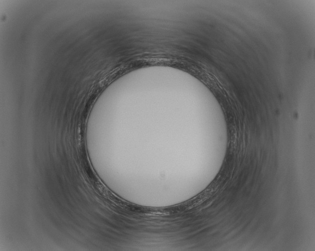 X0000084540700200703091654