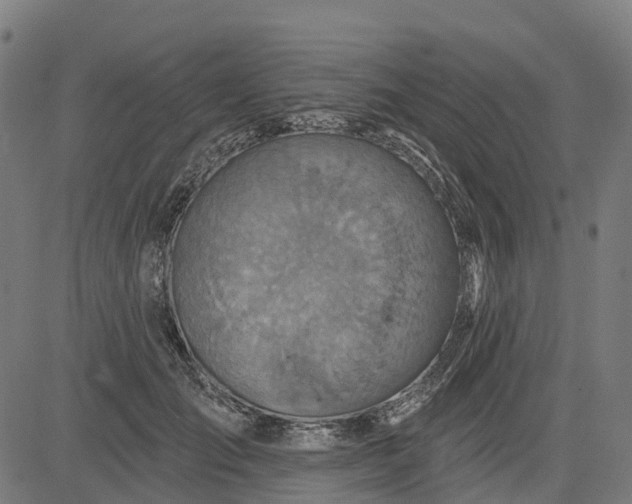 X0000084540701200703091654