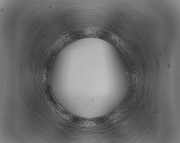 X0000084540702200703091654