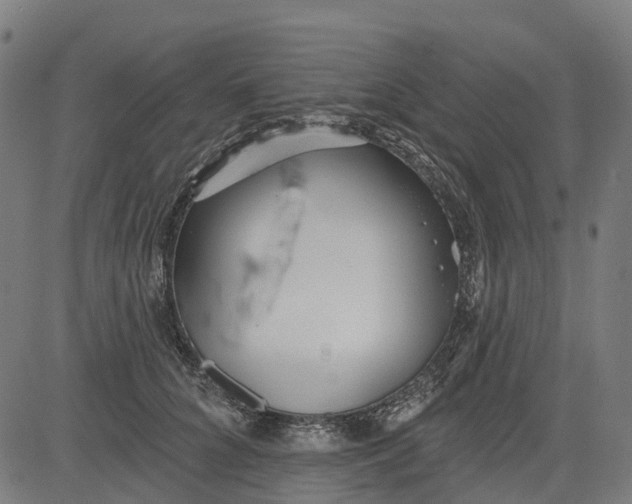 X0000084540704200703091654