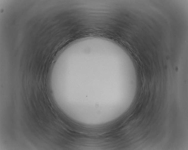 X0000084540705200703091654