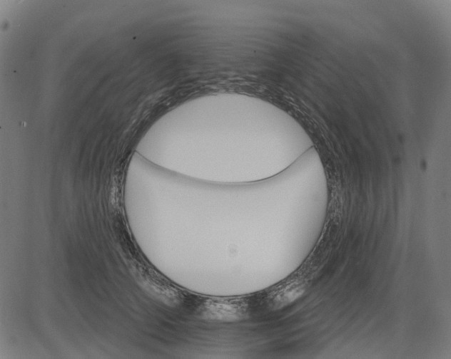 X0000084540706200703091654