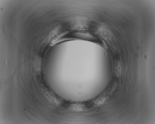 X0000084540708200703091654