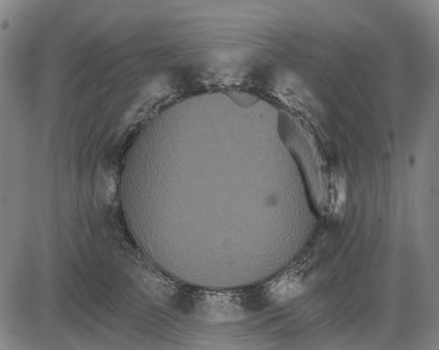 X0000084540709200703091654