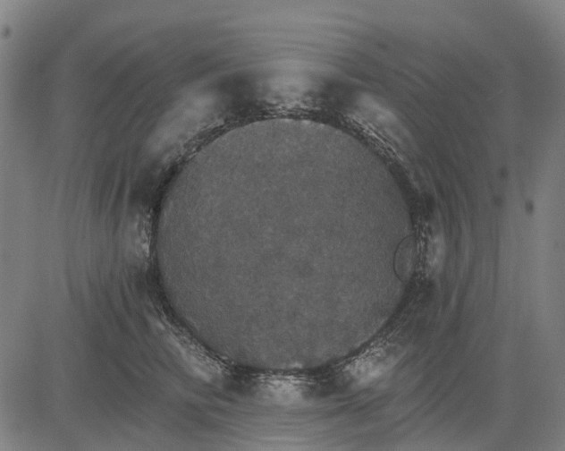 X0000084540710200703091654