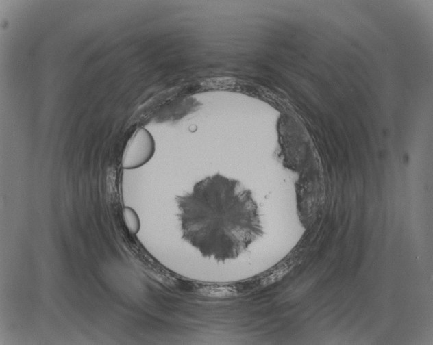 X0000084540711200703091654