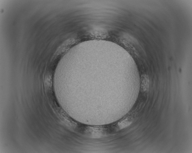 X0000084540713200703091654