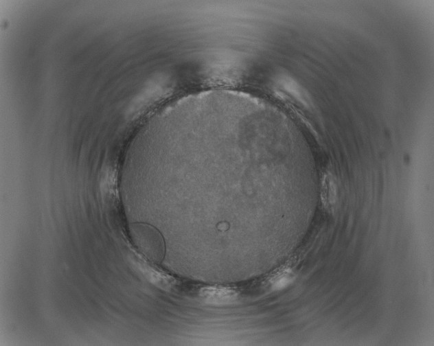 X0000084540714200703091654