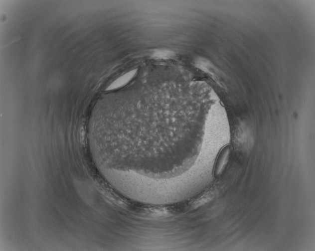 X0000084540715200703091654