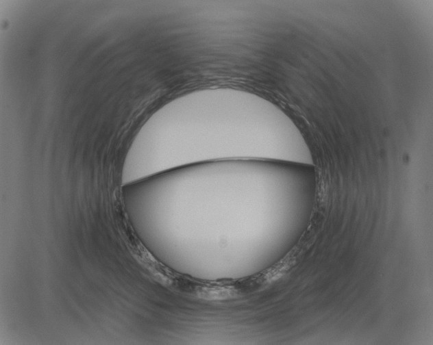 X0000084540716200703091654