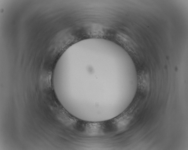 X0000084540717200703091654