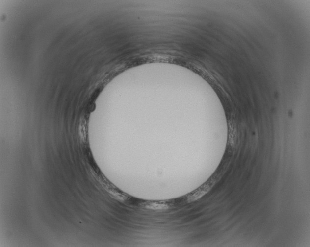 X0000084540718200703091654