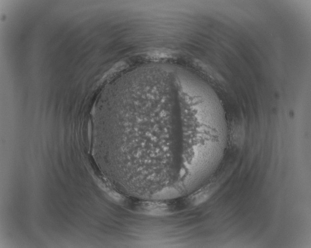 X0000084540719200703091654