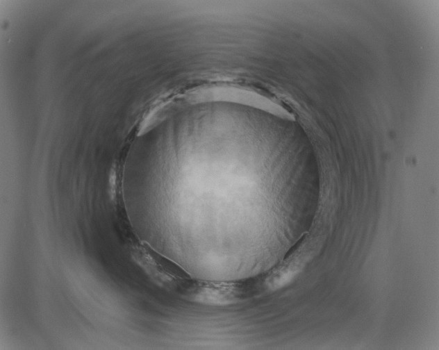 X0000084540720200703091654