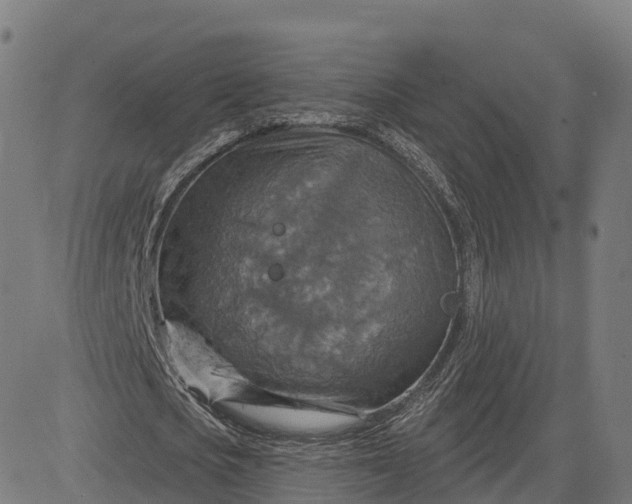 X0000084540721200703091653