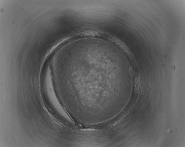 X0000084540722200703091653