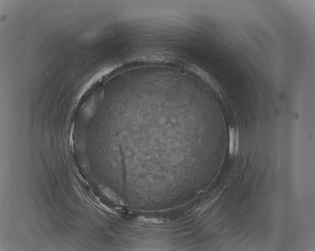 X0000084540723200703091653