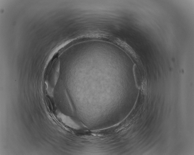 X0000084540724200703091653