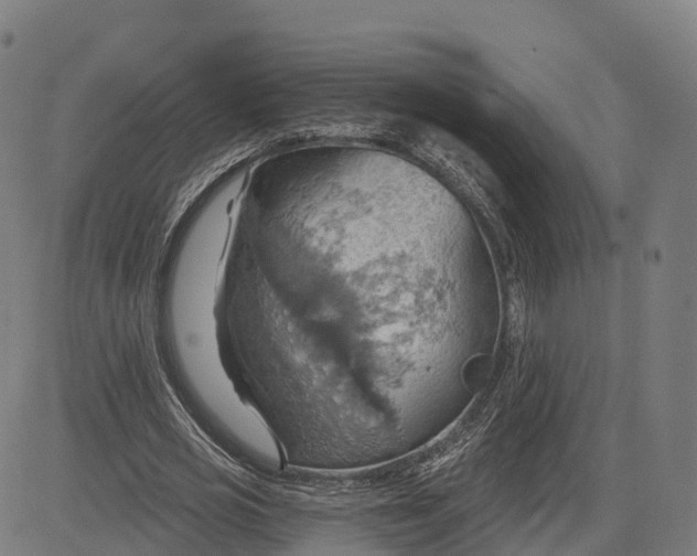 X0000084540725200703091653